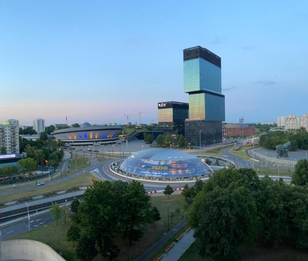 IX Pietro - 9Th Floor Apartment In Katowice Luaran gambar